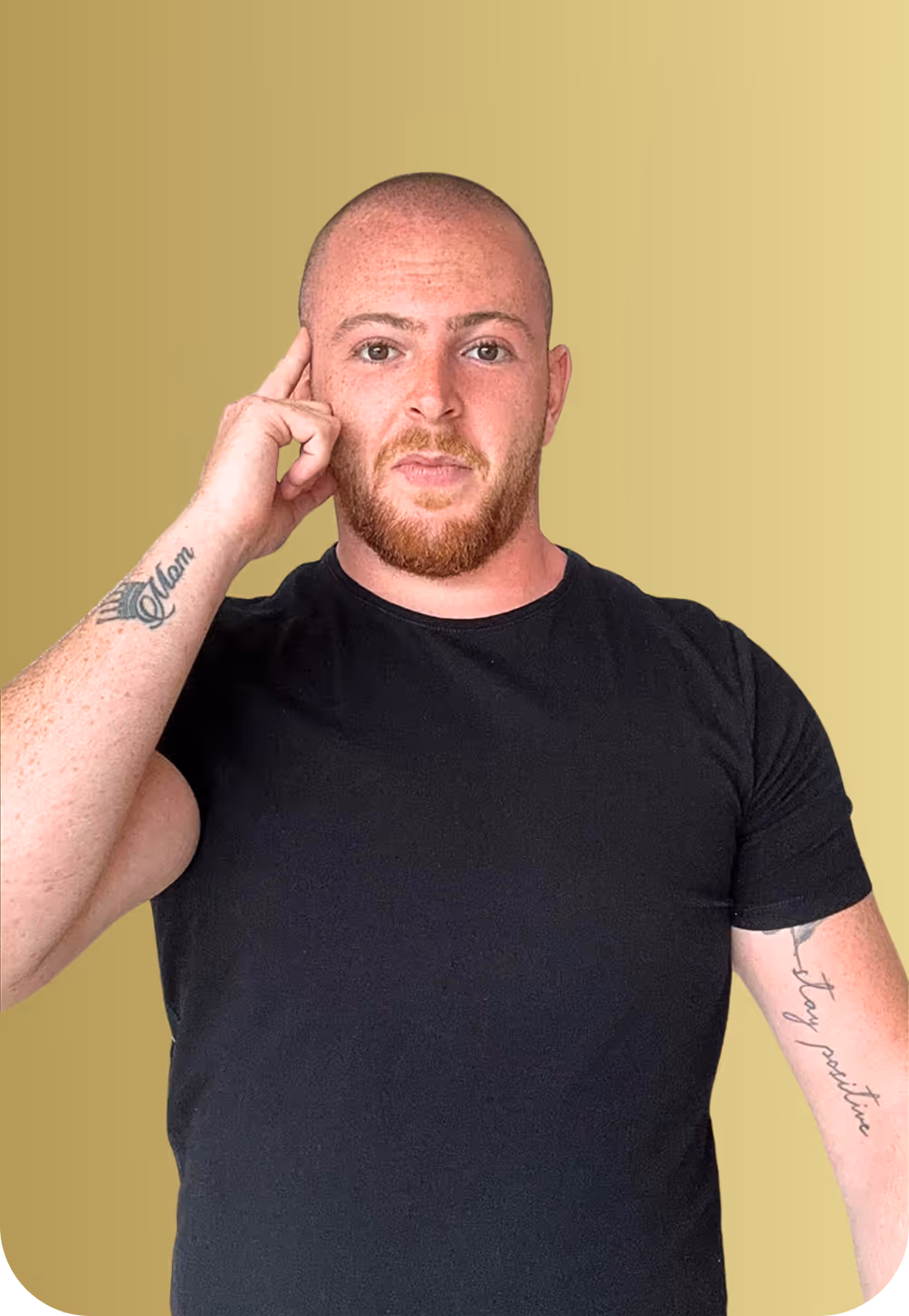 דן סטר